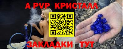 jwh Кингисепп