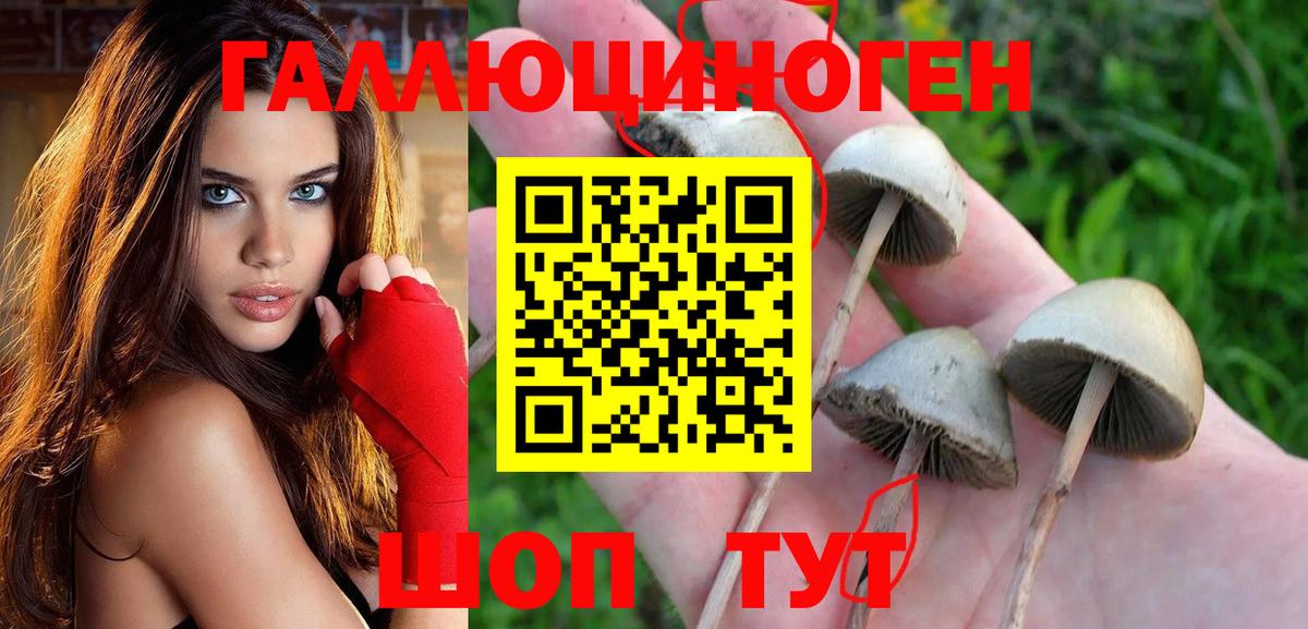 Новокузнецк  Галлюциногенные грибы мухоморы  Вход с VPN 