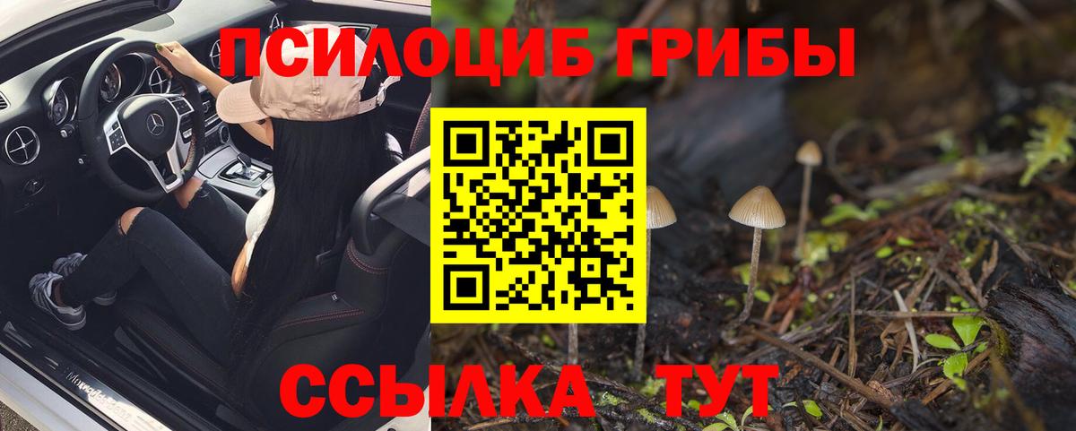 Псилоцибиновые грибы Cubensis Новокузнецк
